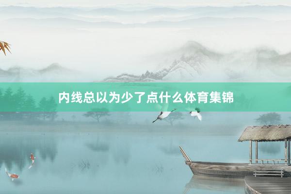 内线总以为少了点什么体育集锦