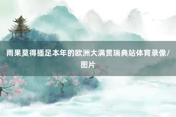 雨果莫得插足本年的欧洲大满贯瑞典站体育录像/图片