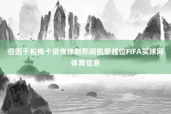 但因于帕梅卡诺传球刹那间凯恩越位FIFA买球网体育信息