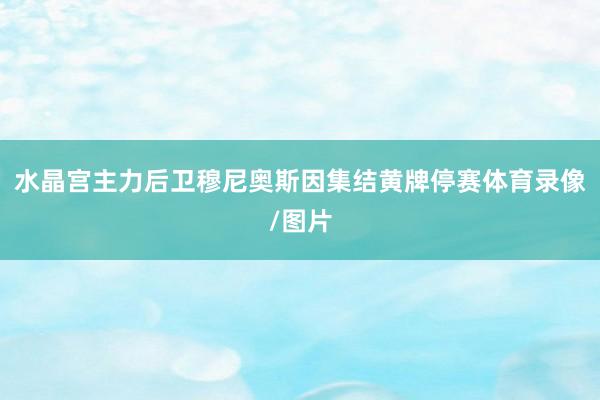 水晶宫主力后卫穆尼奥斯因集结黄牌停赛体育录像/图片